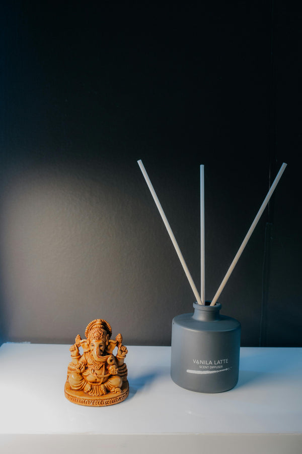 Raumdiffuser