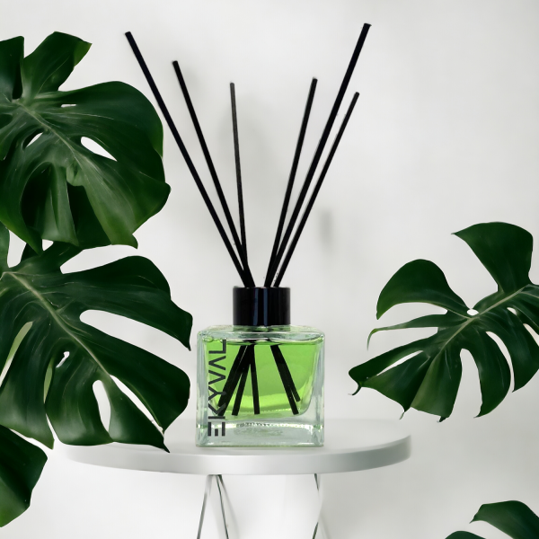 Melon - Mikado Air Freshener - 100ml-0