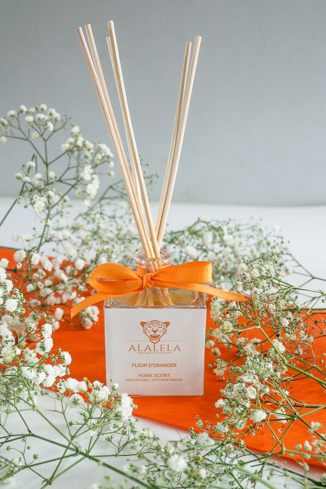 Alalela Luxury Home Scents Parfums de Grasse reed diffuser 4