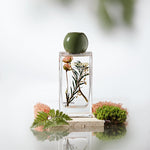 Ebony Rose Wildwood Reed Diffuser-0